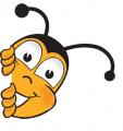Аватар для Слобожанская Пчела